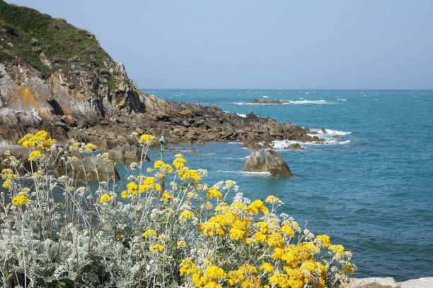 istock The rocky coast along the Atlantic Ocean 1162926940