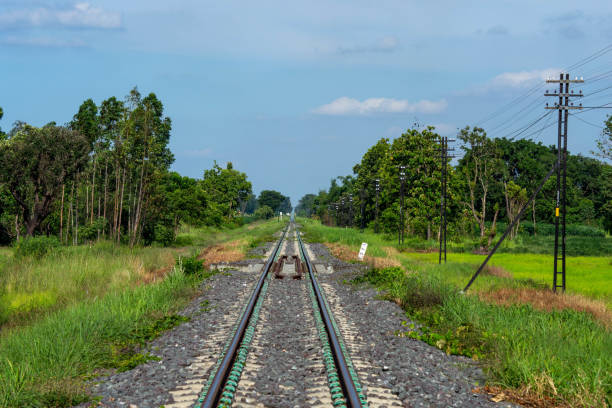 istock Railroad​ in​ Thailand​ in​ summer​ 1162929286