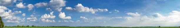 istock Landscape​ Sugarcane​ farmland​ in​ bluesky​ and​ Panorama​ 1162929321