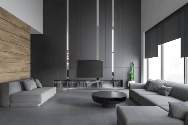 istock Living room interior with sofas and TV 1162930815
