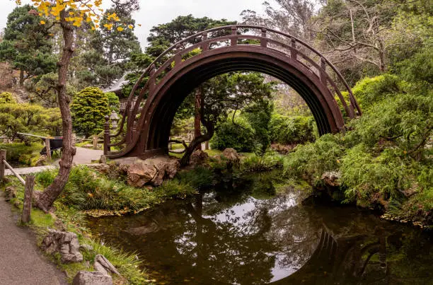 Photo of Peacefull picture of Japanese Tea Garden with a bridge over small river and ginkgo tree. Golden Gate Park, San Francisco.