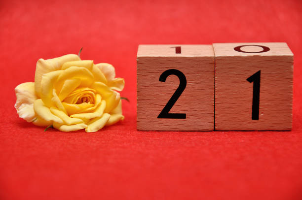 istock Number twenty one with a yellow rose on a red background 1162934558