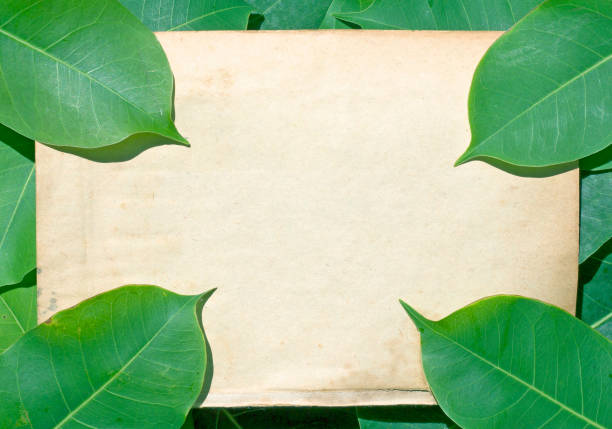 istock Paper and green leaves 1162935465