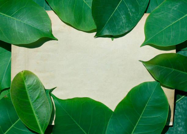 istock Paper and green leaves 1162935486