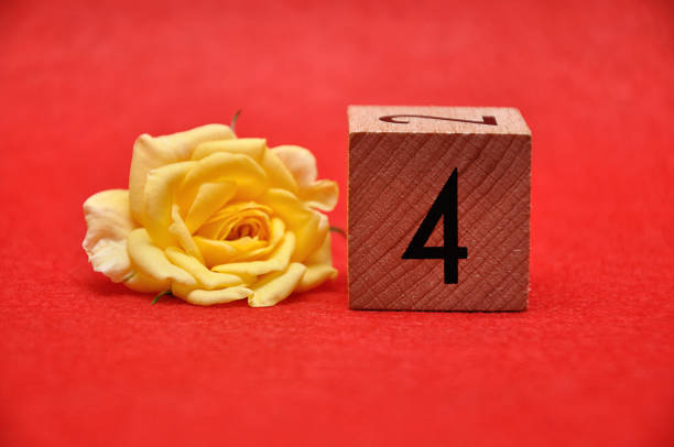 Number four with a yellow rose on a red background