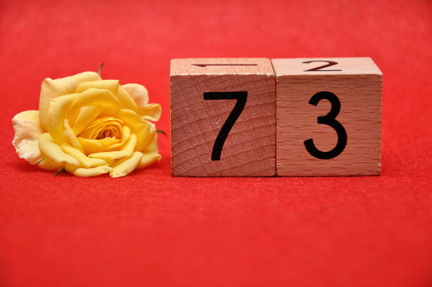 istock Number seventy three with a yellow rose on a red background 1162935783