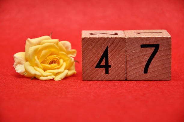 istock Number forty seven with a yellow rose on a red background 1162935797
