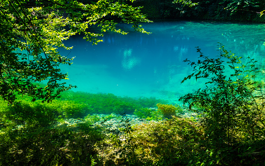 Germany, Tourist destination of blautopf source blue water in blaubeuren forest in swabian jura nature landscape in summer with sun