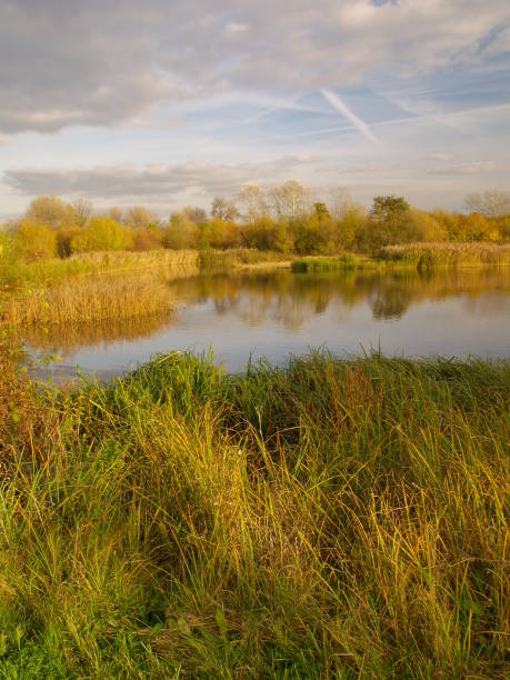 istock Autumn scene over lake 1162945337