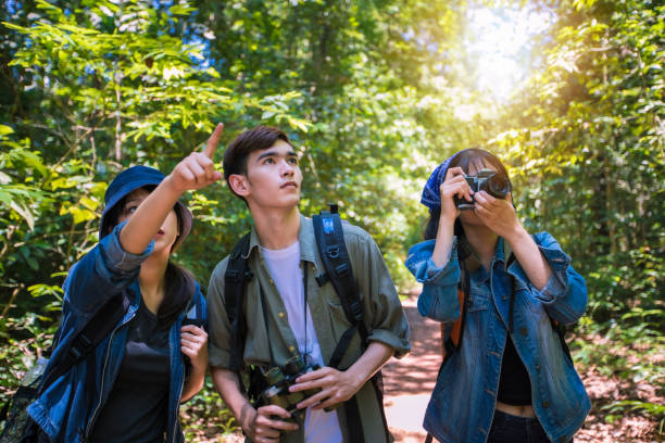 istock Friends Photographing While Standing Against Trees In Forest 1162947104