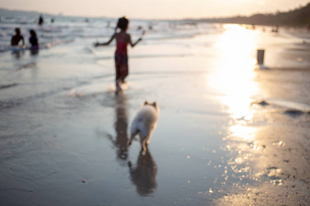 istock Dog And Girl Running At Beach 1162947451