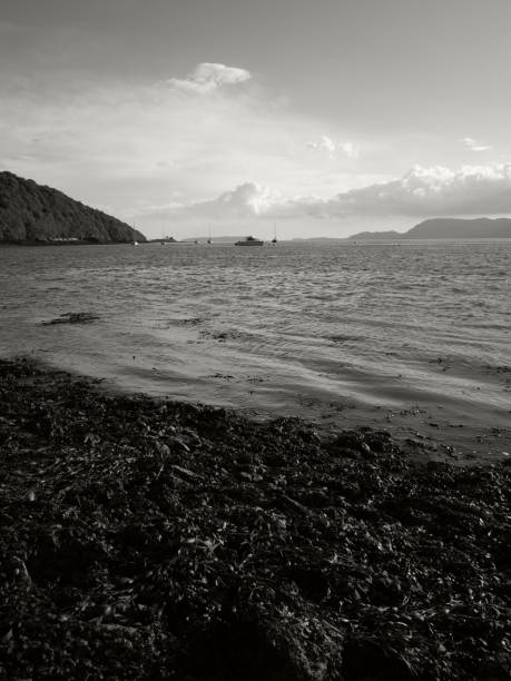 istock Menai straight at low tide 1162950658
