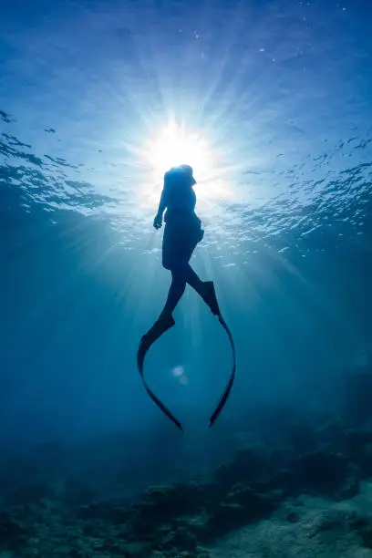 freediver girl in the sea.