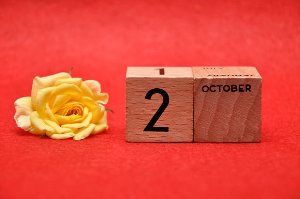 istock 2 October on wooden blocks with a yellow rose on a red background 1162952609
