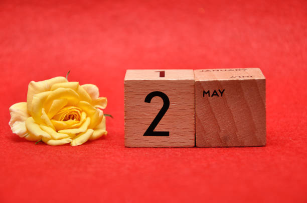 istock 2 May on wooden blocks with a yellow rose on a red background 1162953003