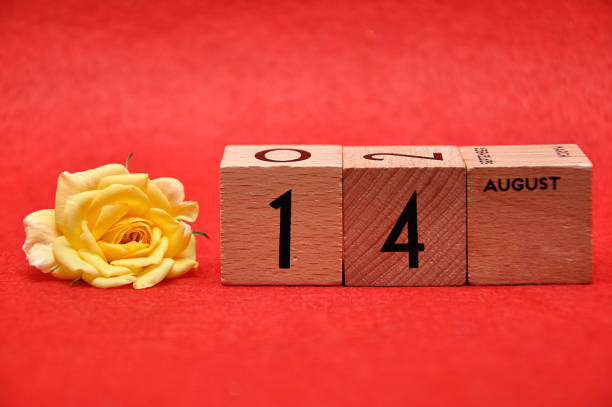 istock 14 August on wooden blocks with a yellow rose on a red background 1162953626