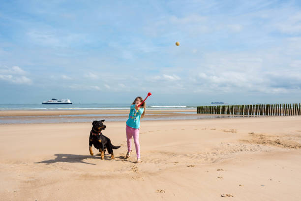 young girl playing with her dog on the beach