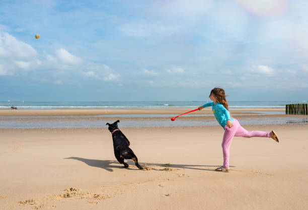 istock young girl playing throwing a ball at her dog 1162955867