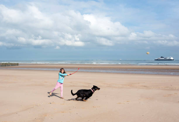 istock young girl playing throwing a ball at her dog 1162955868