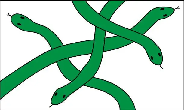 Vector illustration of Green snakes intertwining vector illustration