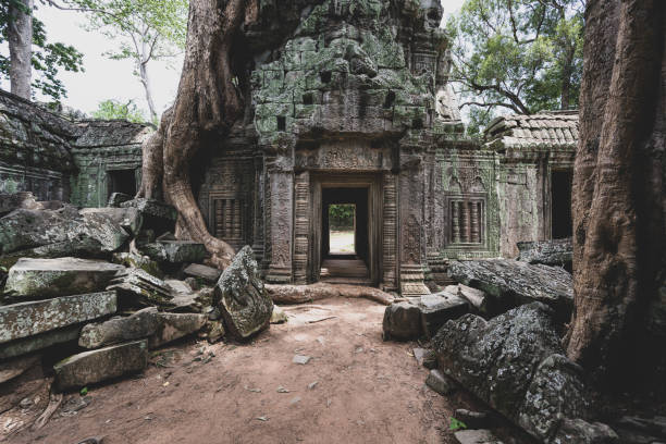 istock Ta Prohm temple at Angkor Wat, Cambodia 1162957233