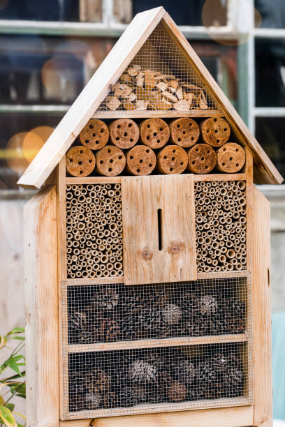 istock welcome house for insects in winter 1162959062
