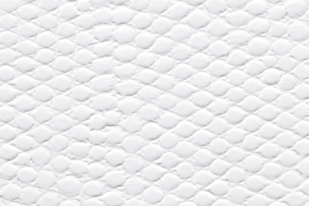 istock White patterned paper background as part of your interior. 1162962952