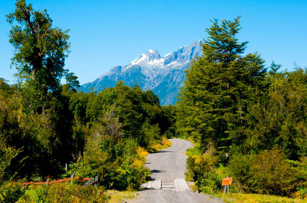 Hornopiren National Park - Chile