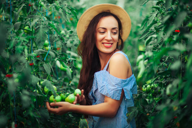 istock Young smiling agriculture woman worker 1162963223