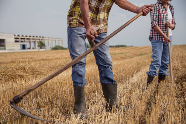 istock Man and woman working in the field 1162963301