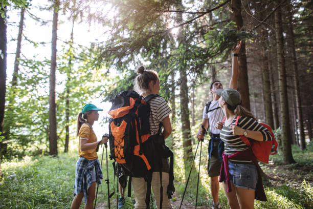 istock Man reaching to grab a branch while hiking 1162963348
