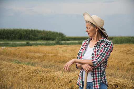 Female farmer standing in the wheat field