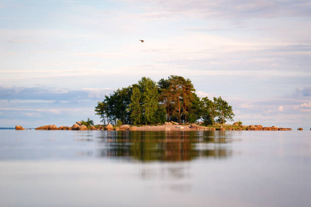 die insel des finnischen meerbusens. - finnischer meerbusen stock-fotos und bilder