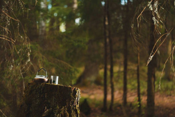 Two female friends pouring a hot drink from a thermos into a mug, sitting on a log in a forest during winter