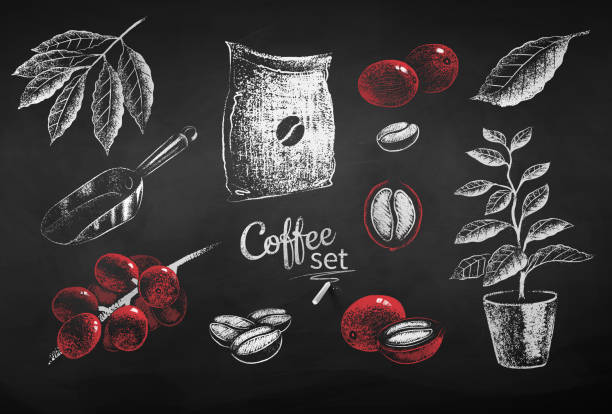 wektorowe ilustracje worka ziaren kawy i liści - coffee bag sack backgrounds stock illustrations