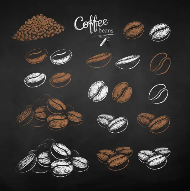 Vector illustration of Vector chalk drawn sketches set of coffee beans