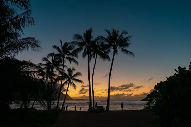 tramonto hawaiano - palladino foto e immagini stock