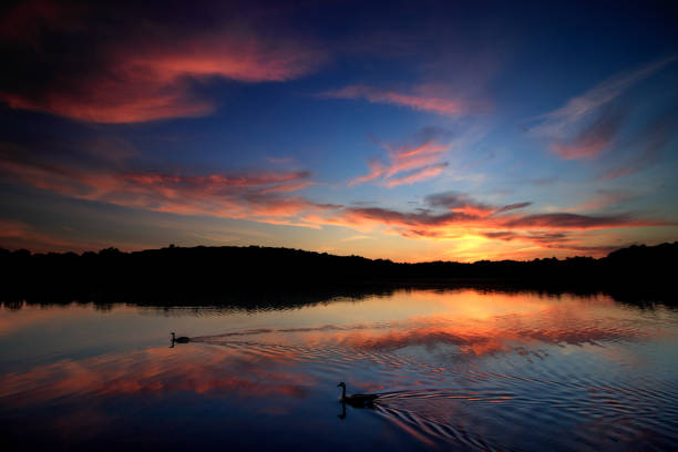 Sunset and Geese on Jamaica Pond, Boston, Massachusetts