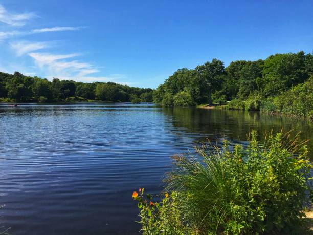 istock Louisa Lake, Milford, Massachusetts 1162975297
