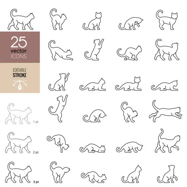 Vector illustration of Cat line icon set. Editable stroke.