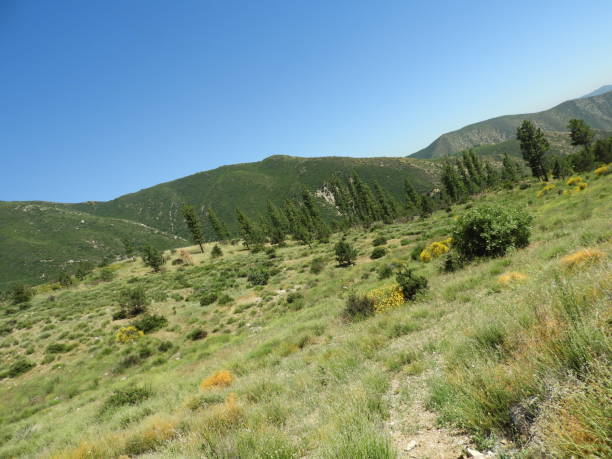 istock Gradient blue skies green land on mountain 1162982257