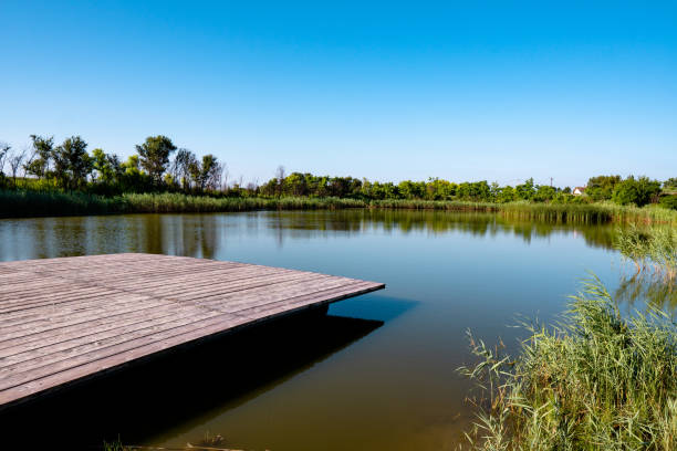 istock Lake in rural place 1162983368