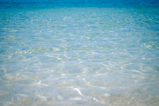 Summer, Light - Natural Phenomenon, Glitter, Drop, Liquid