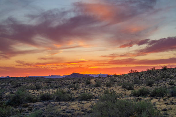 istock A sunset over the Sonoran Desert 1162984282
