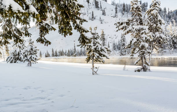 istock Thermal mist rises from Madison River in Yellowstone 1162987155