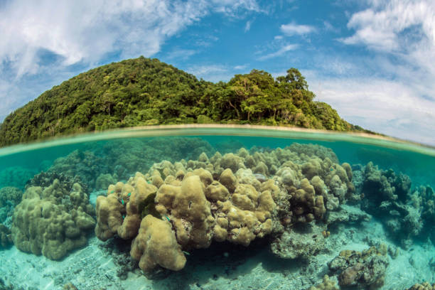 istock rock coral reef near the surface and the Island half frame 1162987370