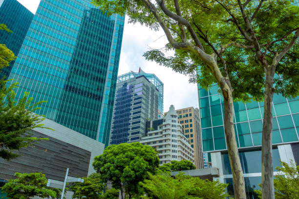 istock Office Skyscrapers and Green Trees 1162993593