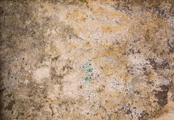 Photo of Stone Wall
