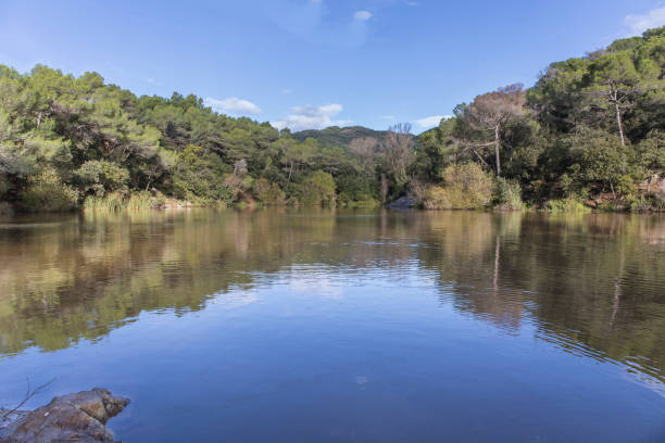 istock Small lake in a sunny day in Terrassa. 1162996519