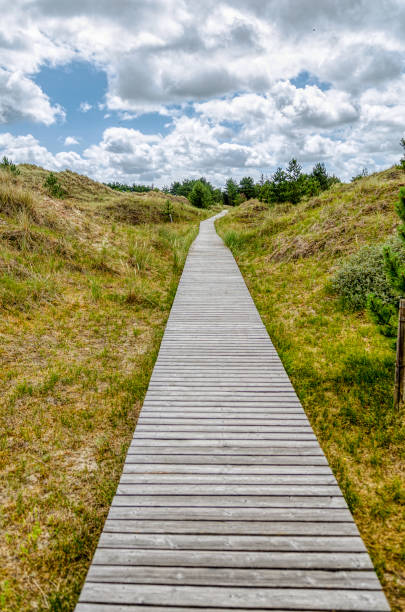 istock wooden bridge in a meadow, cloudy sky 1162998589